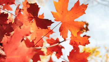 The-chancellors-autumn-statement-What-was-announced_edited.jpg
