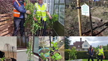 Plant-a-tree-for-jubilee.jpg