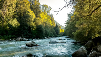 Natural-Capital-The-increasing-value-in-the-rocks-and-soil-beneath-our-feet,-our-streams,-rivers-and-oceans,-and-the-air_edited.jpg