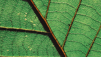 Greenwashing-and-Environmental-Claims-Does-your-marketing-stand-up-to-scrutiny.jpg