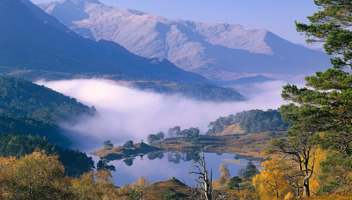 Burness-Paull-contributes-to-groundbreaking-new-Rewilding-Law-Hub_edited.jpg