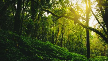 Natural Capital Projects In Scotland Part 2