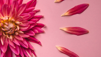 Mindful Of Menopause Webinar Follow Up Materials