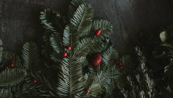 xmas-appeal.jpg