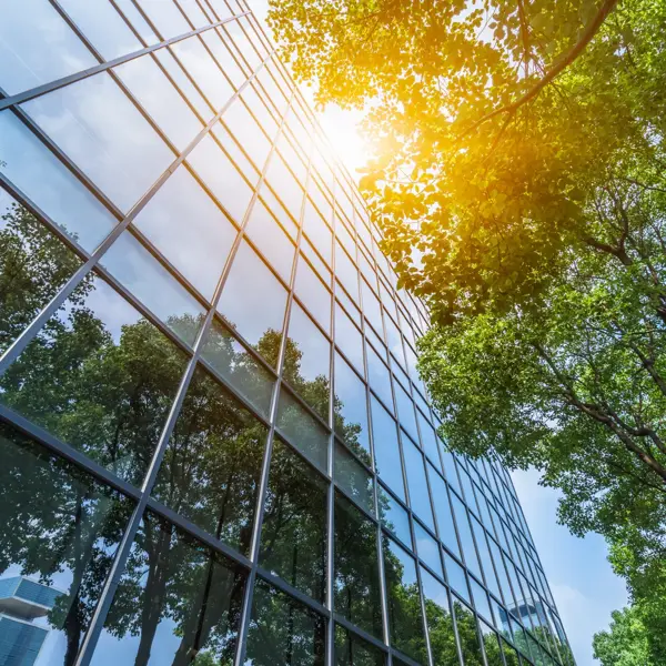 Adobestock 385654899 2313X1542