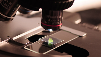 Top-tips-for-life-sciences-fundraisingx.jpg