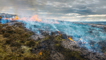 Muirburn.jpg