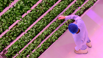 plain-The-agriculture-bill.jpg