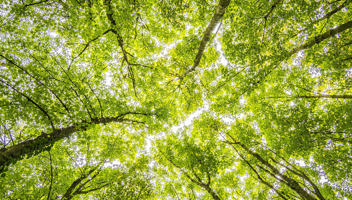 Green-leases-dont-need-to-cost-the-earth.jpg