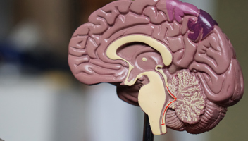 Neurodiversity-in-the-Workplace-laws-need-tuned-to-unlock-the-benefits.jpg
