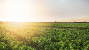 Resumption-for-development,-land-diversification-and-natural-capital.jpg