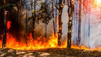 Wildfires And The Right Of Responsible Access Understanding Scotland's Laws On Fires And Barbeques
