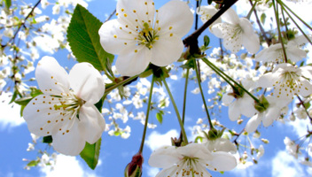 time-for-spring-clean_edited.jpg