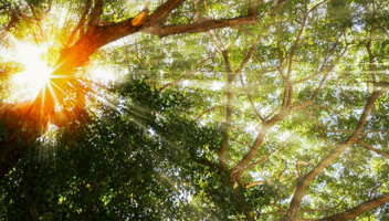 Scotland Update Group Claims Consultation On Opt Out Regime Urgent Deadline To Respond